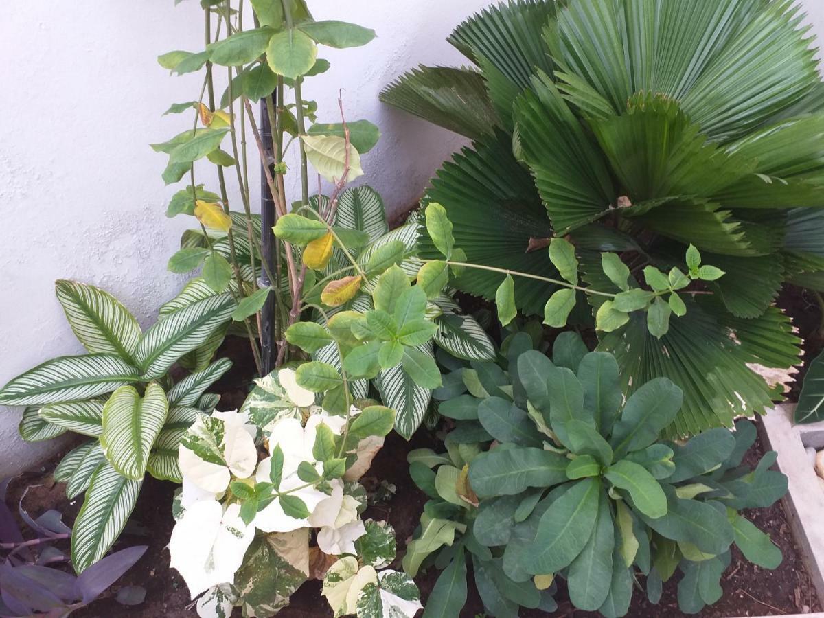קוטונו Karls Guesthouse מראה חיצוני תמונה